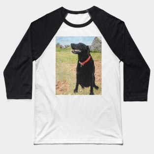 Jet the black Labrador on Berry head Brixham Devon Baseball T-Shirt